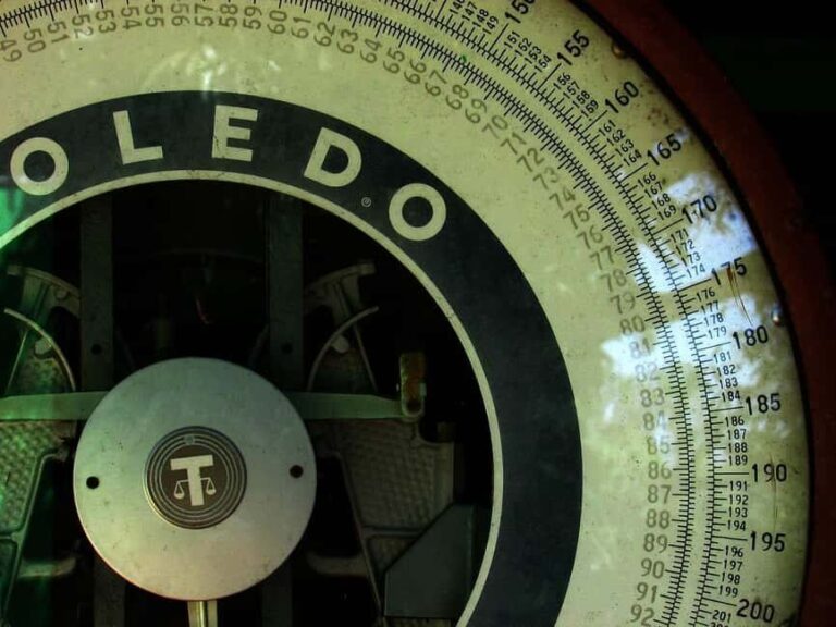 Private tour with official guide - What to Expect from the Tour