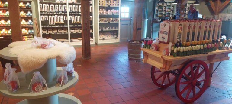 Private Tour Zaanse Schans Windmills, Volendam & Marken - What Makes This Tour Stand Out?