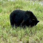 Private Tours for ease, comfort, flexibility, and relaxed pace! - Who Should Consider This Tour?