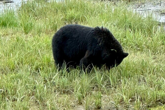 Private Tours for ease, comfort, flexibility, and relaxed pace! - Who Should Consider This Tour?