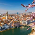 Private transfer from Basel to Zurich with 3h Sightseeing Stops - How About the Vehicle and Journey?