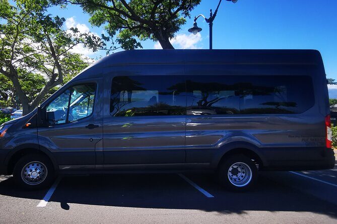 Private Transfer From Hotels in Kailua-Kona to Kona International Airport - Who is This Service Best For?