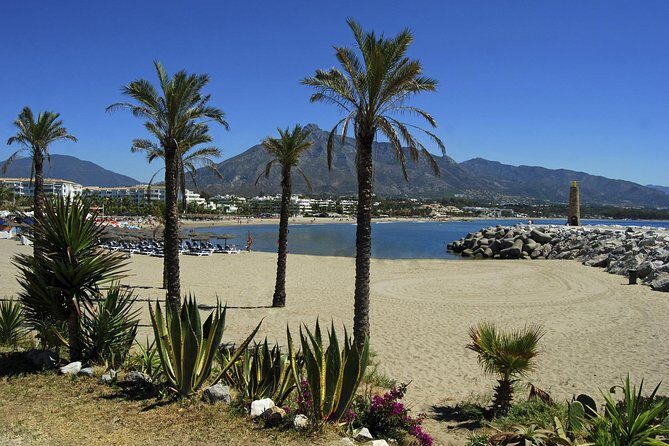 Private Transfer from Malaga airport (AGP) to Fuengirola - The Value of This Transfer Service