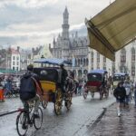 Private Transfer From Paris to Bruges - What to Expect on the Journey