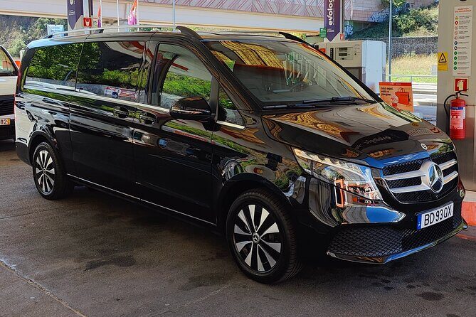 Private Transfer from Porto to Lisbon - Who Is This Transfer Perfect For?