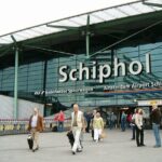 Private Transfer from Rotterdam City to Amsterdam Schiphol Airport - What to Expect from the Transfer
