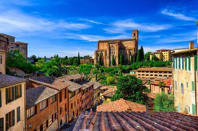 Private transfer from Siena to Florence - Who Should Consider This Service?