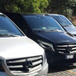 Private Transfer from the Port of Civitavecchia to Rome - What to Expect on Your Transfer