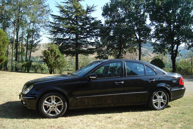 Private transfer from Venice, Piazzale Roma to Marco Polo Airport - Who Is This Service Best For?