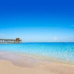 Private Transfer in SUV Orlando to Port Canaveral - Pricing and Value