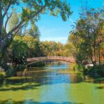 Private Transfer - Lisbon->Porto+Obidos/Aveiro/Fatima/Nazare - What’s Included and What to Expect