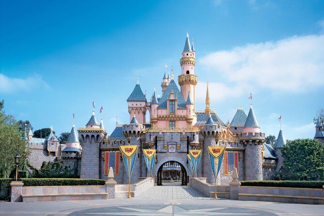 Private Transfer: Paris to Disneyland Park or Hotel by Luxury Van - Feedback from Real Travelers