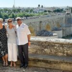 Private Transfer Seville to Granada with a Tour of Cordoba/Mosque - The Final Stretch to Granada