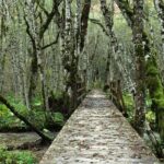 "Private Transfers & Day Tours in Montenegro - Why This Tour Might Be Perfect for You