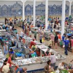 Private Transport Lisbon-Seville with 2 Stops on the Way - Who Is This Tour Best For?