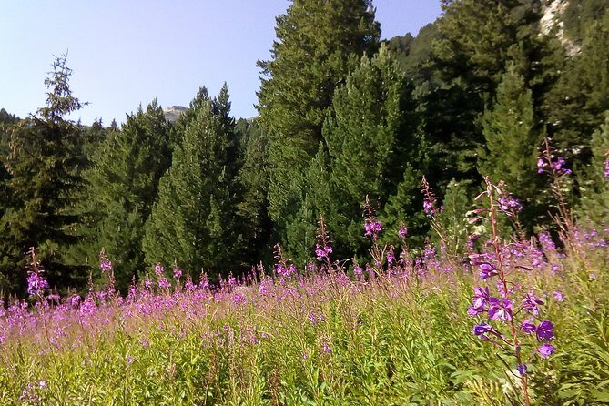 Private Trekking in Rila Mountains and Mt Mousala from Sofia - Guides, Flexibility, and the Experience