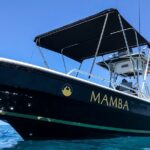 Private Trip Espiritu Santo Island - The Journey to Espiritu Santo Island