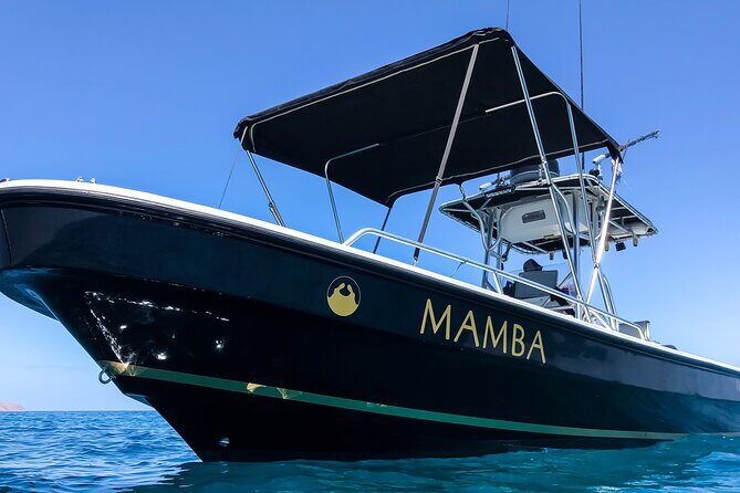 Private Trip Espiritu Santo Island - The Journey to Espiritu Santo Island