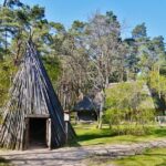 Private Trip to Latvian Open-Air Museum and Riga Motor Museum - Discovering Riga Motor Museum