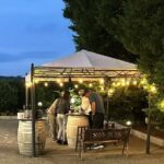 Private Trip to the Vineyards of Ginosa with tasting from Matera - The Itinerary: What to Expect