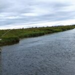 Private Trout and Char Fishing in Icelandic Serenity Experience - Final Thoughts