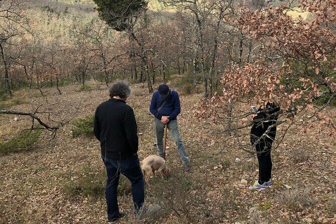 Private Truffle Hunt in Tuscany - Authenticity and Reviews