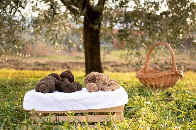 Private Truffle Hunting in Slovenia with meal - Zdenko Tartufi - Who Would Love This Experience?