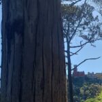 Private Tuk Tuk Tour around Magical Sintra and Coastline - Detailed Breakdown of the Itinerary