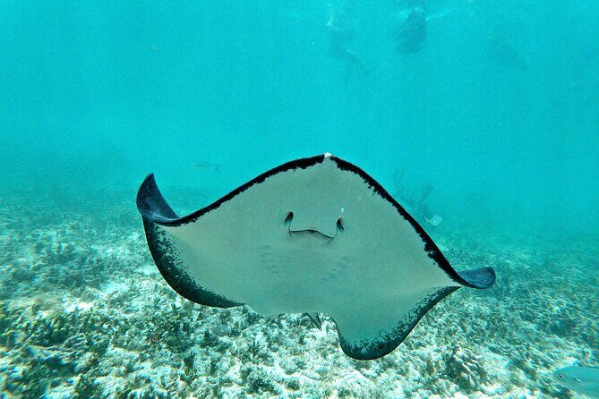 Private Tulum mayan ruins & Snorkel with Turtles in Akumal Adventure - What’s Included and What’s Not