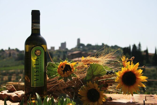 Private Tuscan meal with Wine and EVO oil tasting - What to Expect During the Tour