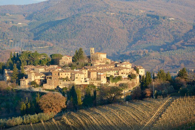 Private Tuscany Excursion. Florence American Cemetery, Greve in Chianti, Winery - The Flexibility of a Private Tour