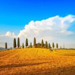 Private Tuscany Wine Country Day Trip from Rome with Lunch - What We Loved (And What to Consider)