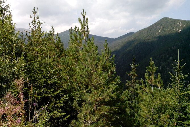 Private Vitosha Mountains Hiking with Black peak & Dragalevtsi Monastery - The Itinerary in Detail: What to Expect