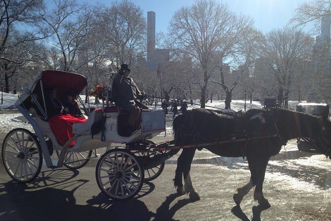 Private Walking Tour: Jewish Colonial History in New York City - Is It Worth the Price?
