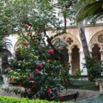 Private Walking Tour of Dubrovnik and its Ancient Walls - What to Expect on the Walls