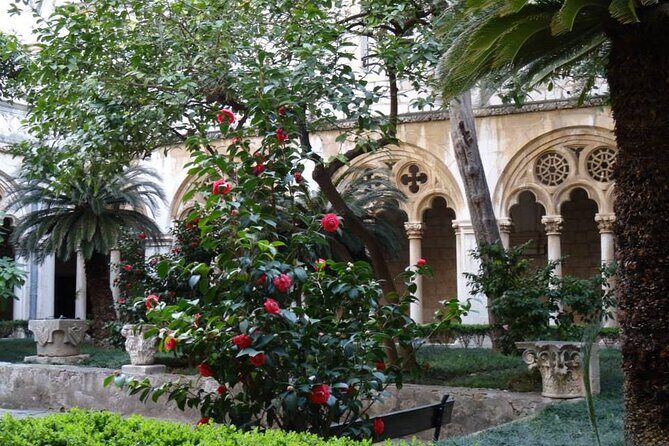 Private Walking Tour of Dubrovnik and its Ancient Walls - What to Expect on the Walls