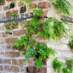 Private Walking Tour of Historic Charleston - Authentic Traveler Feedback