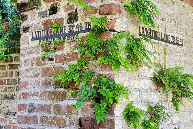 Private Walking Tour of Historic Charleston - Authentic Traveler Feedback