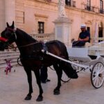 Private Walking Tour of Ortigia with a Certified Guide - What’s Included and What’s Not