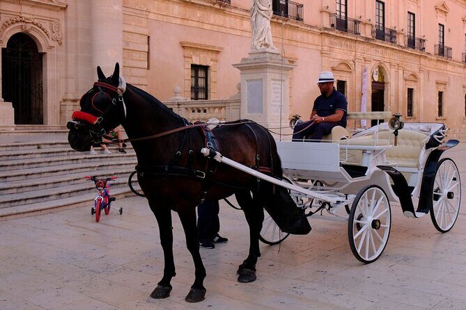 Private Walking Tour of Ortigia with a Certified Guide - What’s Included and What’s Not