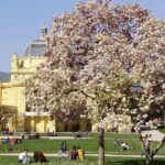 Private Walking Tour of Zagreb with Funicular Tickets - What’s Included and What to Expect