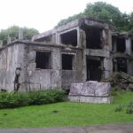 Private Westerplatte Tour by Car or Cruise Transport - Who Will Love This Tour?