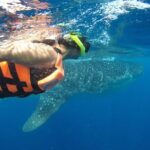 Private Whale Shark Tour from Cancun - What Makes This Tour Stand Out?