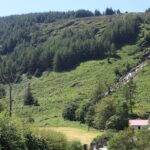 Private Wicklow Mountains Day Tour - The True Value of the Tour