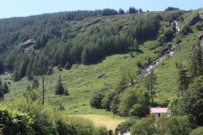 Private Wicklow Mountains Day Tour - The True Value of the Tour