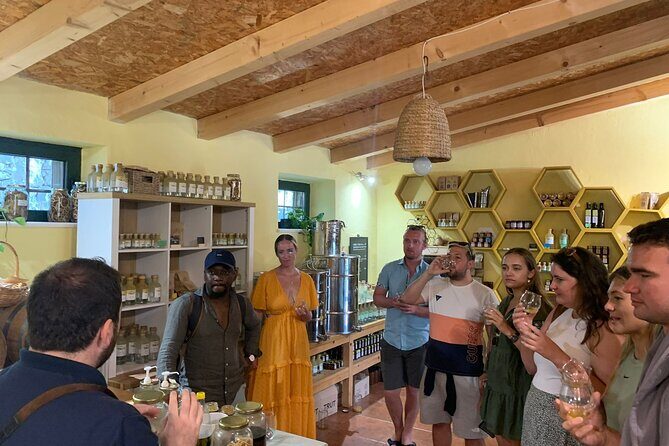 Private Wine and Gin Tour Around the Island of Korcula - What to Expect at Each Stop