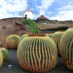 Private Wine Experience  Northern Lanzarote Tour - The Experience Breakdown