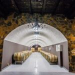 Private Wine Tasting Activity at Lipovac Winery - The reviews paint a clear picture