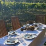 Private Wine Tasting Tour around Ile Rousse and Calvi - The Value of the Experience