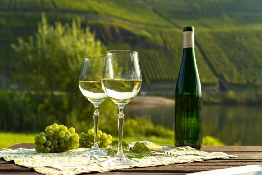 Private Wine Tasting Tour in Munich with a Wine Expert - What Makes This Tour Special